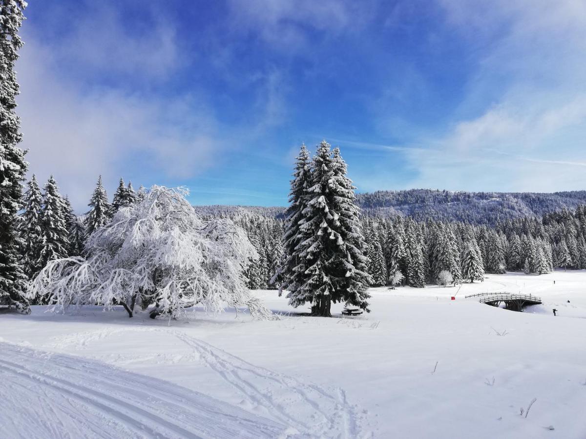 Ferme Des Deux Freres, Autrans, Vercors ภายนอก รูปภาพ