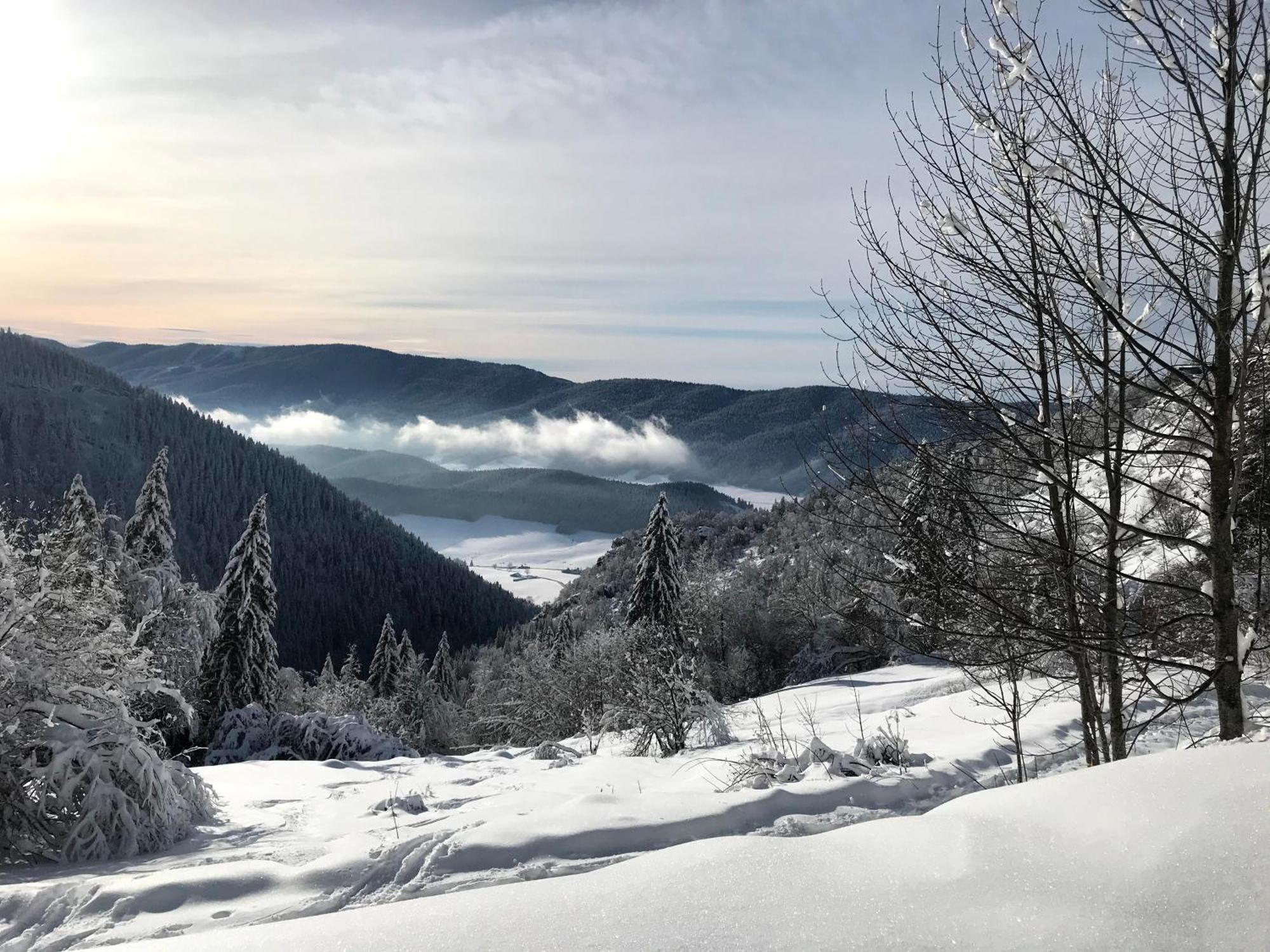 Ferme Des Deux Freres, Autrans, Vercors ภายนอก รูปภาพ