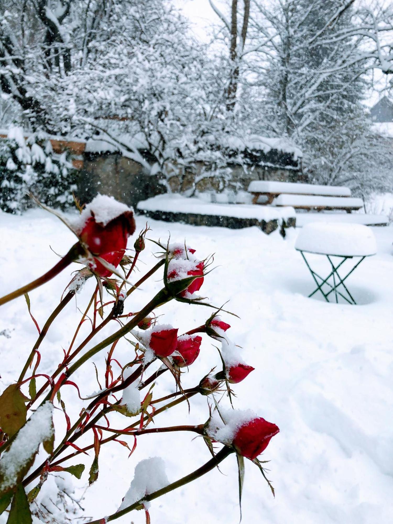 Ferme Des Deux Freres, Autrans, Vercors ภายนอก รูปภาพ