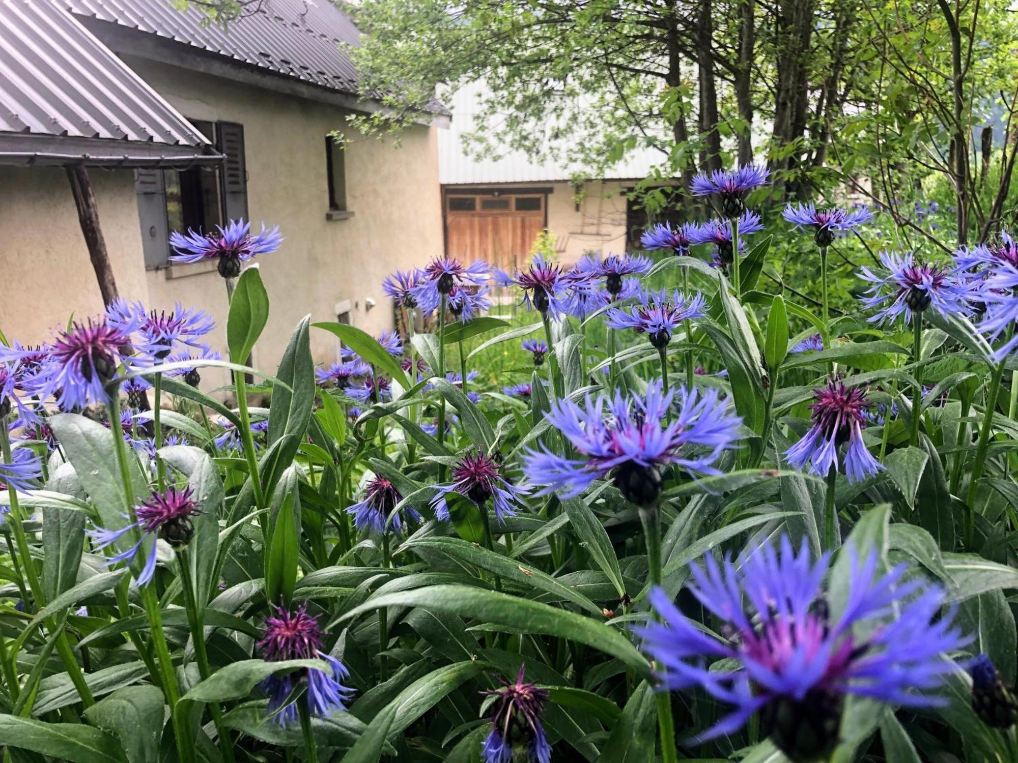 Ferme Des Deux Freres, Autrans, Vercors ภายนอก รูปภาพ