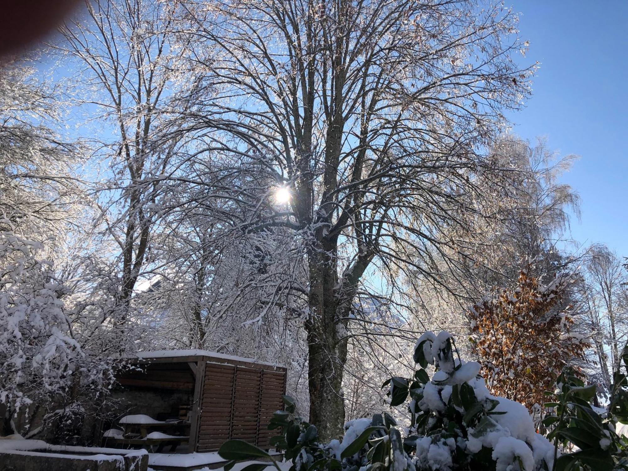 Ferme Des Deux Freres, Autrans, Vercors ภายนอก รูปภาพ